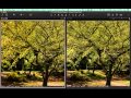Digital Transitions Capture One Quicktips - Comparing Multiple Images