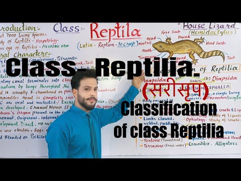 Class-. Reptilia (सरीसृप) Animal kingdom and Classification of class Reptilia  सरीसृप का वर्गीकरण)