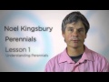 Planting Design with Perennials by Noel Kingsbury.