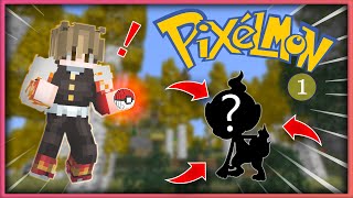 Vais-je devenir le meilleur DRESSEUR ?! - Pixelmon Episode 1