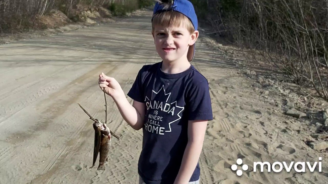 Trout Fishing With Gage 