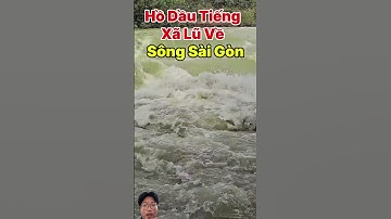 Hồ dầu tiếng xã lũ ra sống Sài Gòn Cuối Tháng 10  #shorts