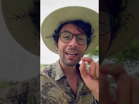 كيف تستقبل الش كر