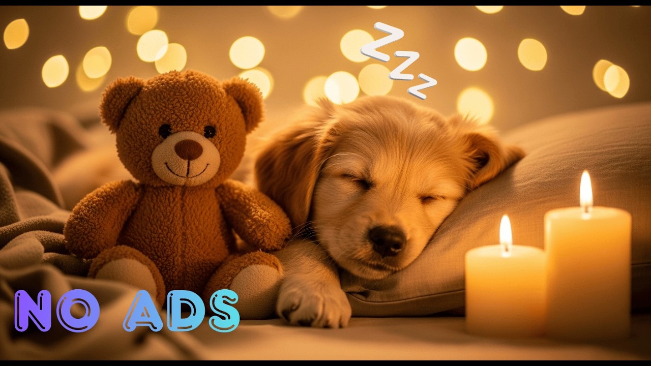 Leave Your Dog Stress-Free! 🐶 12 Hours Anti-Separation Anxiety Music for Deep, Peaceful Sleep 💖