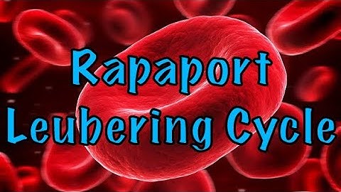Rapaport Leubering Cycle | Bisphosphoglycerate shunt | glucose metabolism | Biochemistry