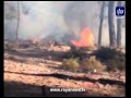 حريق كبير في احراش دبين