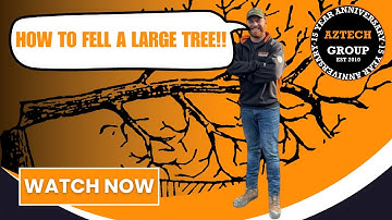 Aztech Group: HOW TO...Fell a large tree!! | Professional Guide