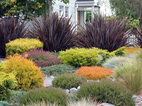 Ornamental