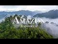 Amazon Wildlife 4K - The World’s Largest Tropical Rainforest With Relaxing Music, Meditation Music