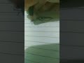 maaf masih pemula