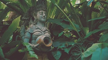 LUMIX GX85 / GX80 CINELIKE D GRADING TEST