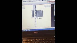 MicroHawk ID20 Keyboard Emulation
