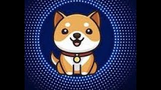 Warning! Baby doge and Bitcoin continue to fall! Don&#39;t buy! (and probably don&#39;t sell)