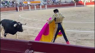 Bull Gores Torero in Horrifying Arena Footage