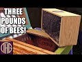 Installing New Bees In A Top Bar Hive - Did We Mess Up?