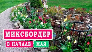 Сложный миксбордер в начале мая. Подбор растений