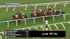 Woodbine, September 22, 2019 Race 10