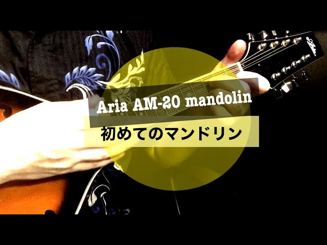 中古で衝動買いしたフラットマンドリン「Aria AM-20」をウクレレチューニングで弾いてみたら楽しかった件【レビュー】flat mandolin  (tuned as an ukulele)