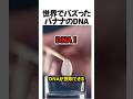 世界でバズったDNAの取り出し方#shorts