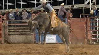 Best in the West Bull Bash