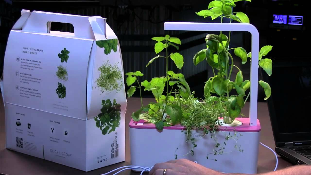 Click And Grow Smart Herb Garden Review Youtube