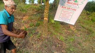 Reforestation Campaign by Himalayan Adventure Therapy at Raniban