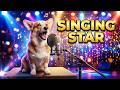 Dog's expression management#dog #drama