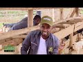 How to feed chickens correctly and take care of goats | Seeds Of Gold