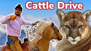 Rescuing Cattle from Deep Snow and Mountain Lions | Vlog 13