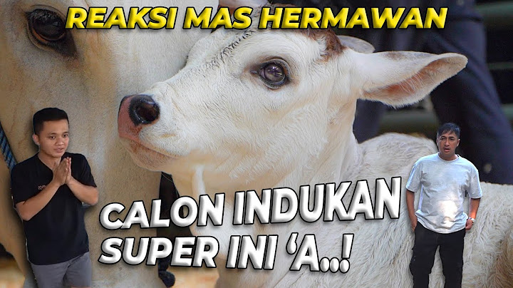 MAS HERMAWAN KAGET LIAT ANAKNYA BONA YANG BARU LAHIR..!