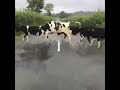 Ш Щ ШЁЩ Ш ШµШ Ш ЩЉЩ Щ ШІ рџ Ј Ш Щ ШЁЩ Ш ШµШ Ш ЩЉЩ Щ ШІ рџ Ј