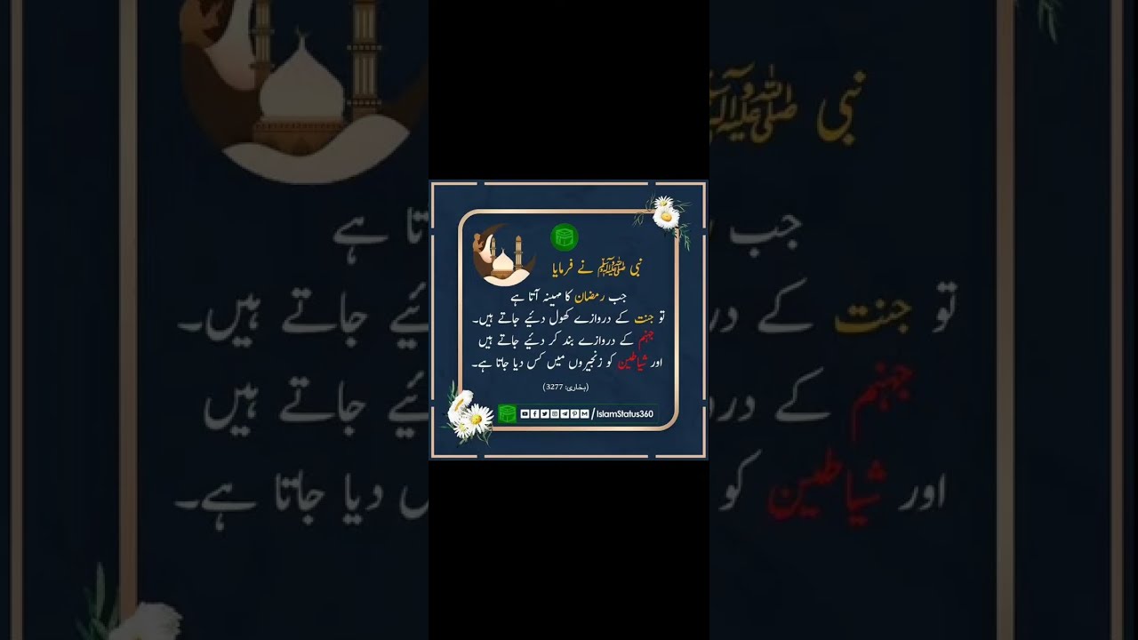 Samreen Home kitchen is live