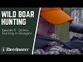 Episode 8 -  Wild Boar Hunting: Driven Hunting in Hungary