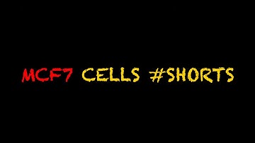 MCF7 cells under microscope #SHORTS