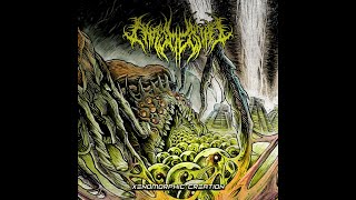 Phrymerial - Genesis