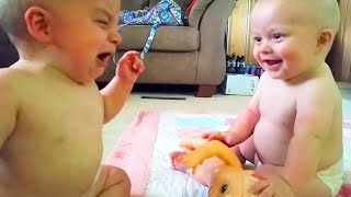 Babies and Family Moments - Funny Baby Video #5 || Lovers Baby