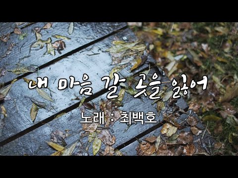 내 마음 갈 곳을 잃어 최백호