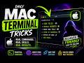 This Terminal Command Shows Your Mac’s IP Address