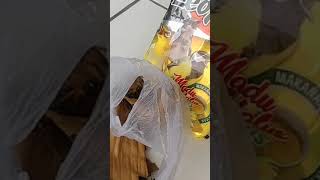 So That The Coffee Cucak Bird From Ombyokan Can  part 3