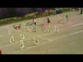 Agility Croatian Sheepdog "Puubi" PM-agirata 3.8.2008 の動画、YouTube動画。