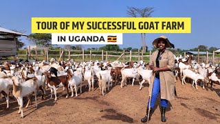 Tour Of My Successful 1000 Goats Farm In Uganda With Diary Cows & a Matooke Plantation