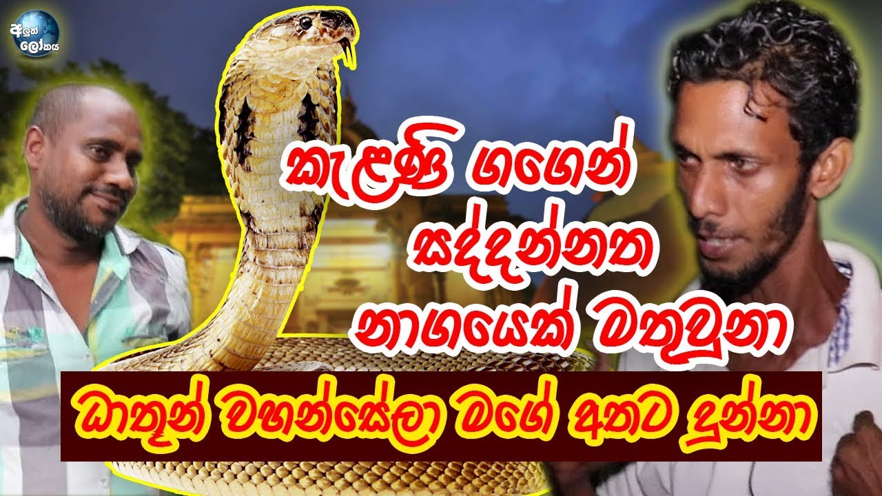 නාග ලෝකයෙන් කැලණියට වැඩි ධාතූන් - Kelaniya Temple Naga Lokaya