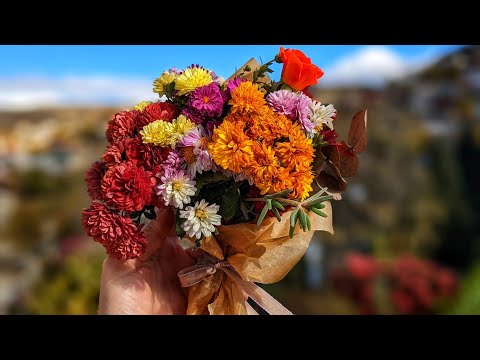 ჩემი ხელით გაზრდილი ყვავილებისგან ვაკეთებ თაიგულს, მეგობრისთვის ♥️