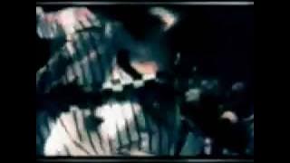 Rosemary - Miracle