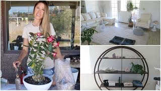 Home + Decor Vlog