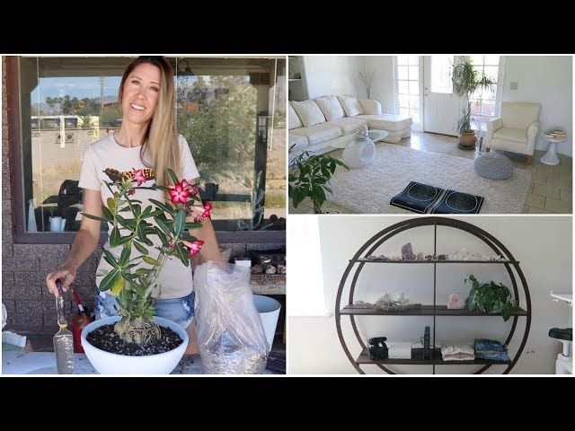 Home + Decor Vlog