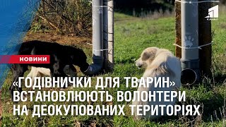 «Годівнички для тварин» встановлюють волонтери з Дніпра на щойно деокупованих територіях