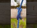 Constrictor hitch knot! !