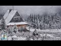 Relaxing Snowfall: Beautiful Falling Snow - The Best Relax Music