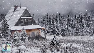 Relaxing Snowfall: Beautiful Falling Snow - The Best Relax Music screenshot 5